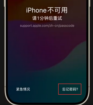 阿克苏苹果手机密码维修分享iPhone忘记了刚设置的密码 