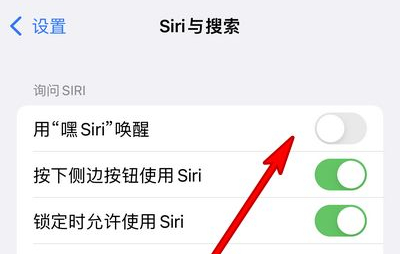阿克苏苹果13维修分享iPhone 13怎么唤醒 Siri  