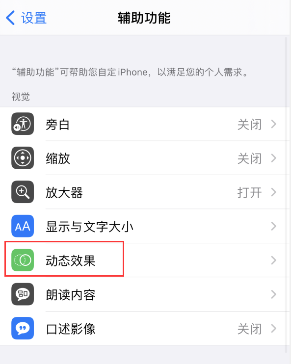 阿克苏苹果手机维修分享iPhone 12 退出应用时没有动画显示，如何设置 