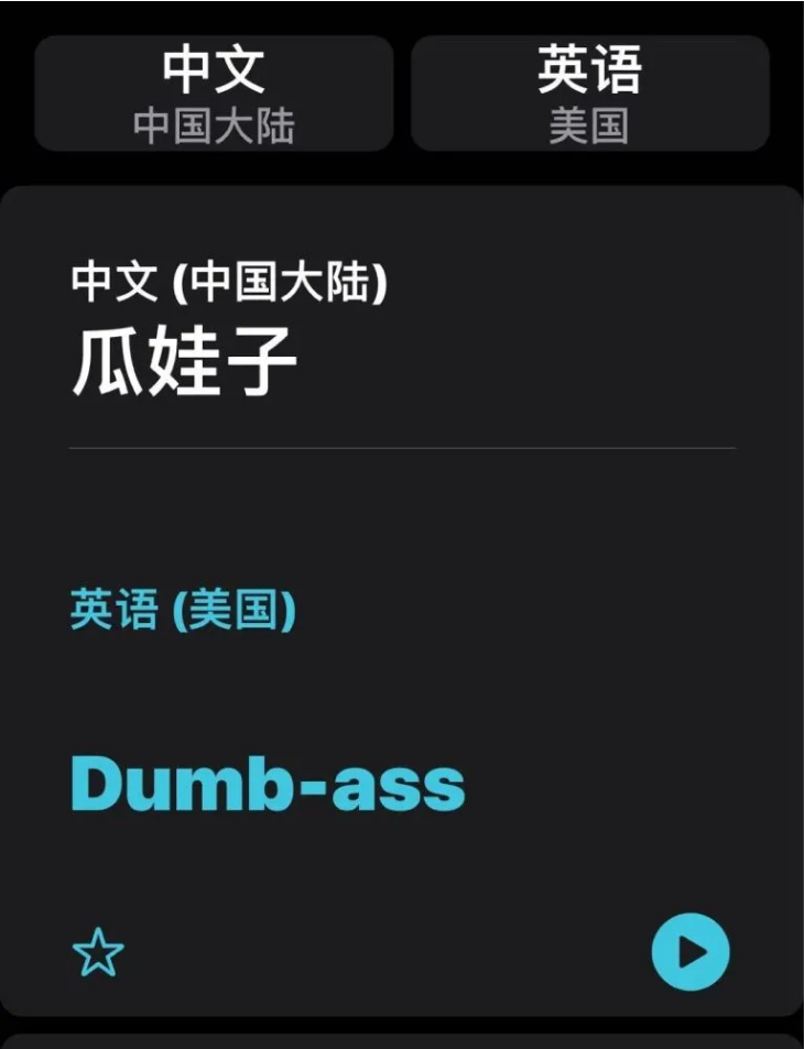 阿克苏苹果手机维修分享iOS14的“翻译太懂了”怎么用 